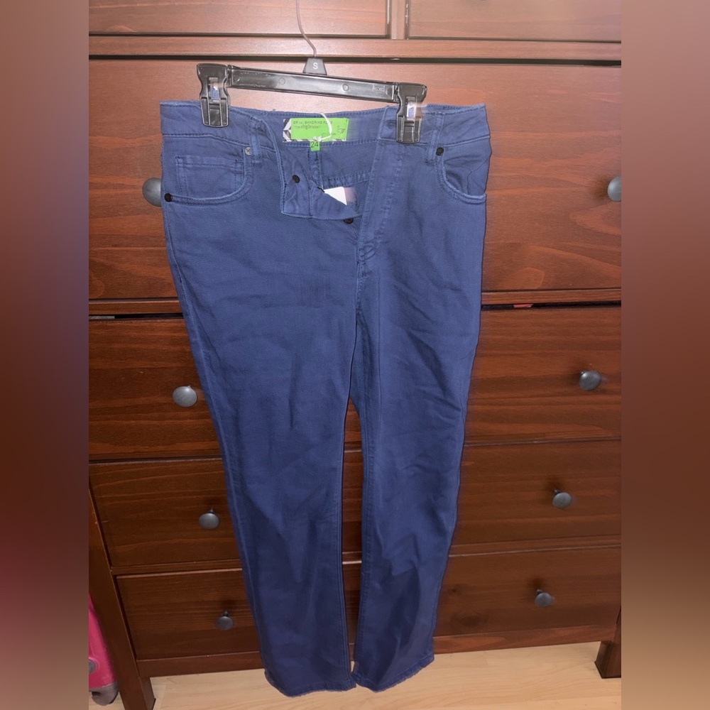 NWT Free People x Sandrine Rose Virgin Label Jeans
